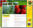 web design navi Mumbai, web designing company navi Mumbai, web designs company navi Mumbai, website design navi Mumbai, website designing company navi Mumbai, website development company navi Mumbai